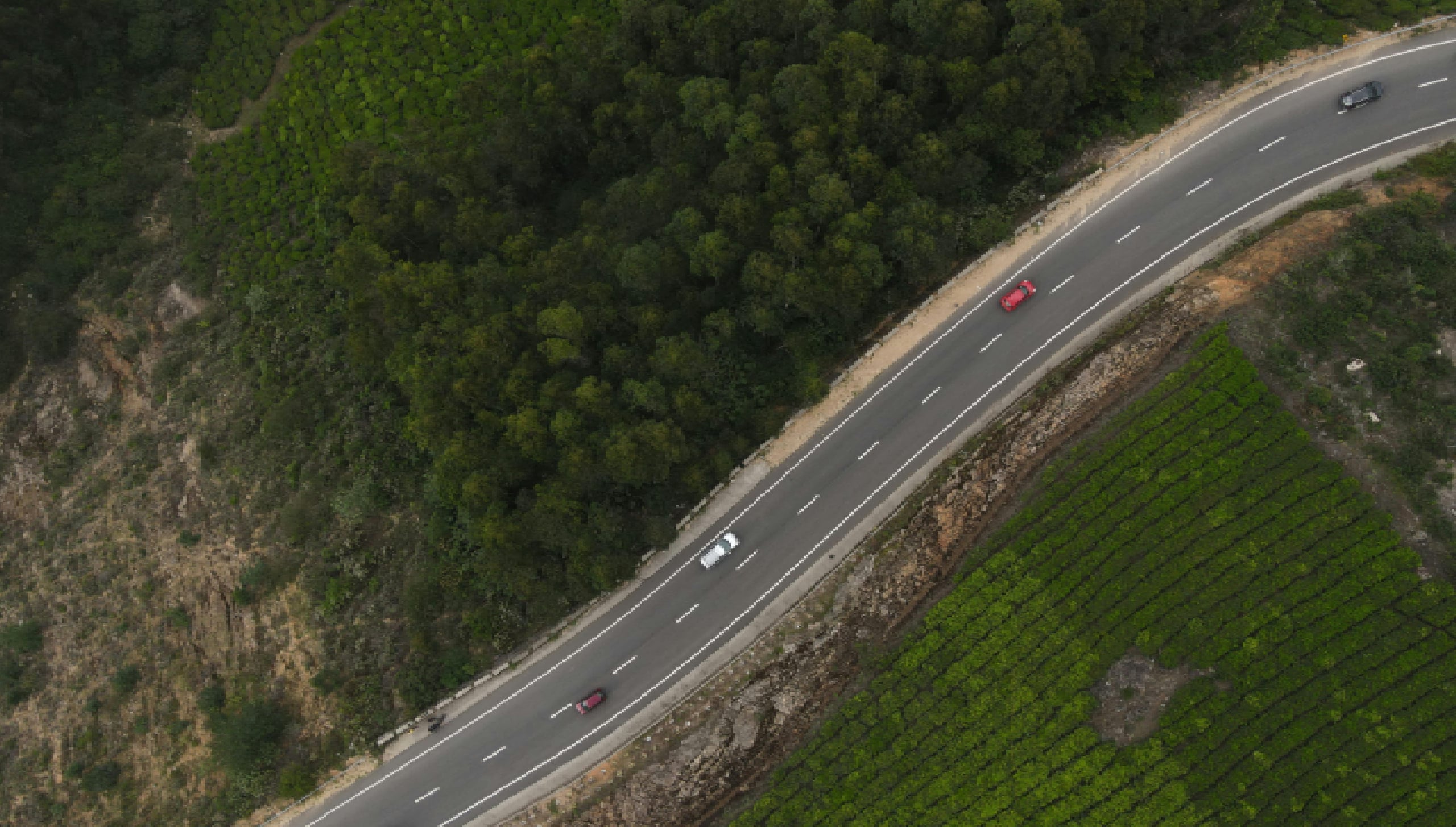 about_banner_background_image