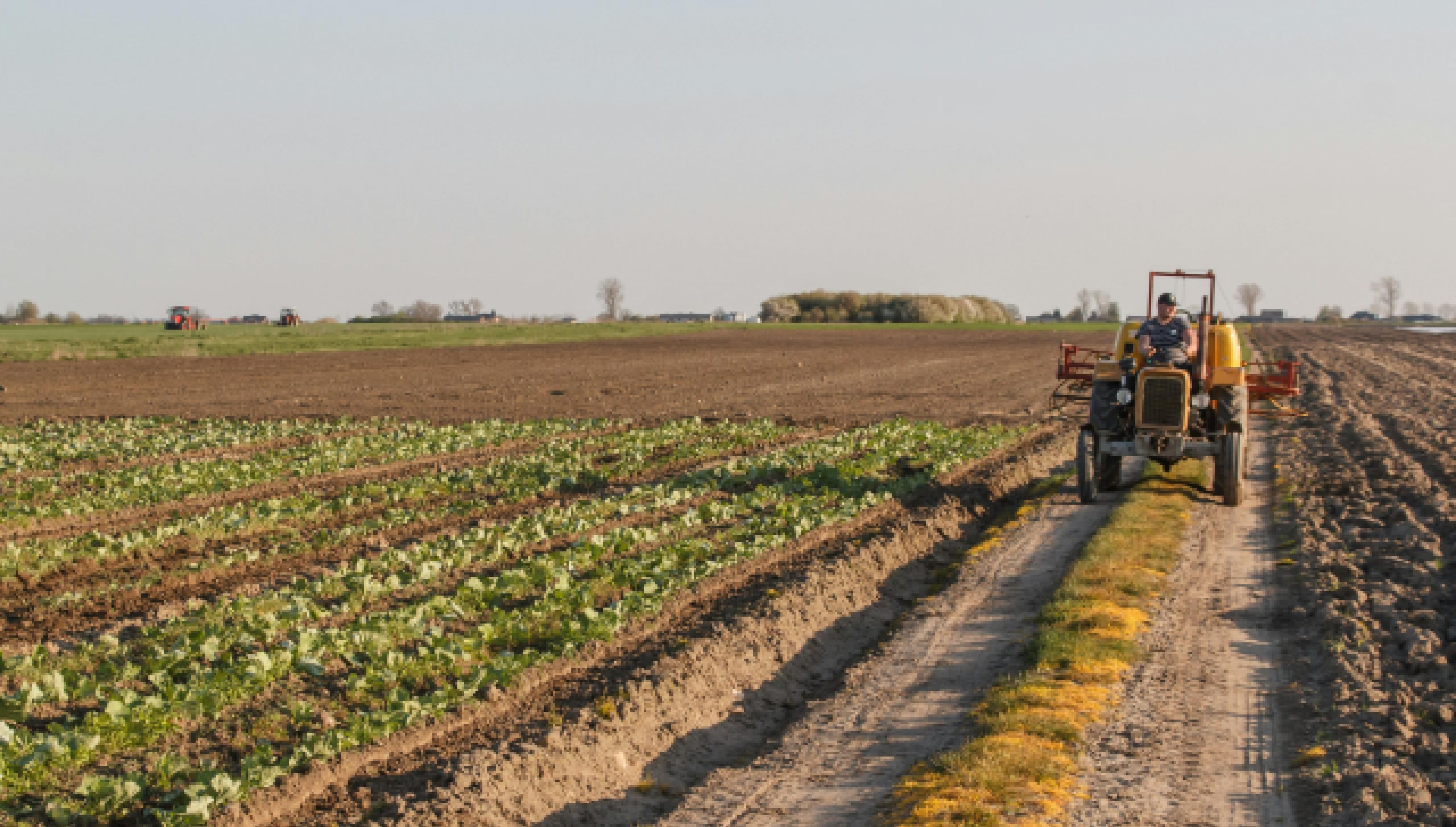 about_banner_background_image